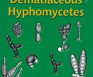 Dematiaceous Hyphomycetes