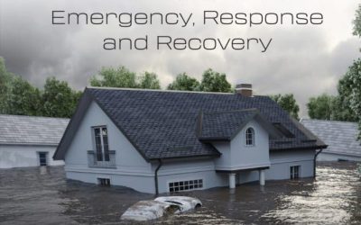 Disaster Human Crisis: Emergency, Response and Recovery
