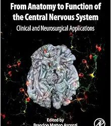 From Anatomy to Function of the Central Nervous System First Edition