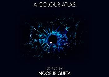 Corneal Infection and Inflammation: A Colour Atlas First Edition