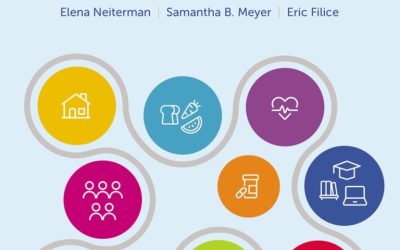 Health Promotion in Canada: Theory and Practice in Context