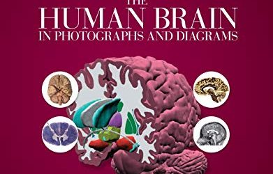 Nolte's The Human Brain in Photographs and Diagrams Fifth Edition