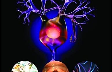 Neurolaryngology First Edition