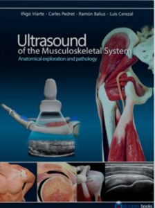 Ultrasound of the Musculoskeletal System: Anatomical Exploration and Pathology