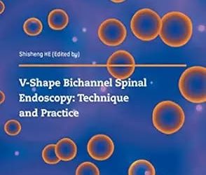 V-shape Bichannel Spinal Endoscopy: Technique and Practice