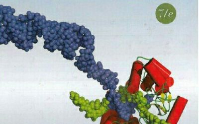 Textbook of Biochemistry with Clinical Correlations Seventh Edition