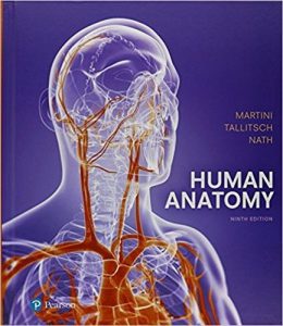 Human Anatomy Ninth Edition