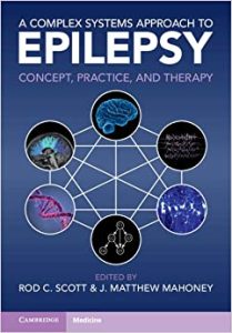 A Complex Systems Approach to Epilepsy: Concept, Practice, and Therapy New Edition
