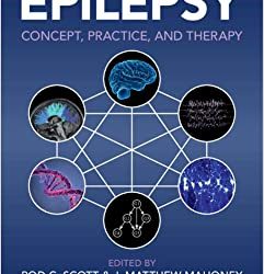 A Complex Systems Approach to Epilepsy: Concept, Practice, and Therapy New Edition