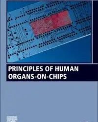 Principles of Human Organs on Chips