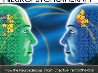 Neuropsychotherapy: How the Neurosciences Inform Effective Psychotherapy First Edition