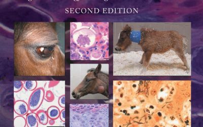 Infectious Diseases of the Horse: Diagnosis ,Pathology, Management, and Public Health Second Edition