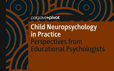 Child Neuropsychology in Practice: Perspectives from Educational Psychologists