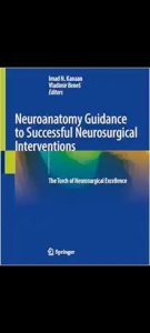 Neuroanatomy Guidance to Successful Neurosurgical Interventions: The Torch of Neurosurgical Excellence 2024 Edition