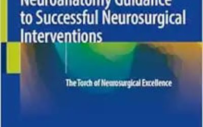 Neuroanatomy Guidance to Successful Neurosurgical Interventions: The Torch of Neurosurgical Excellence 2024 Edition