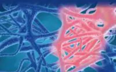 Recent Developments in Anti-Inflammatory Therapy First Edition