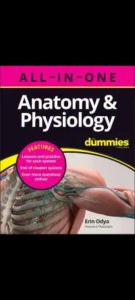 Anatomy & Physiology All-in-One For Dummies First Edition