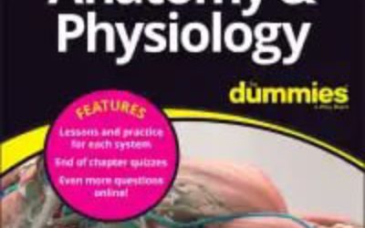 Anatomy & Physiology All-in-One For Dummies First Edition