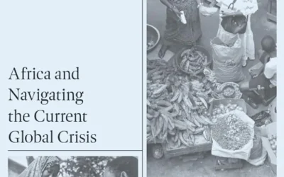 Africa and Navigating the Current Global Crisis (Multidisciplinary Perspectives on Global Africa)