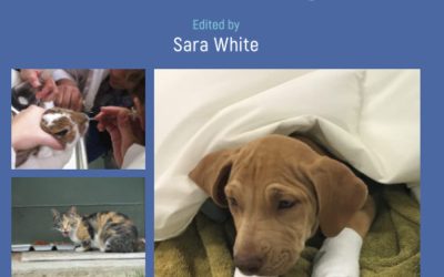 High-Quality, High-Volume Spay and Neuter and Other Shelter Surgeries