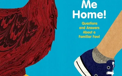 A Chicken Followed Me Home!: Questions and Answers about a Familiar Fowl