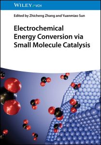 Electrochemical Energy Conversion via Small Molecule Catalysis 1st Edition