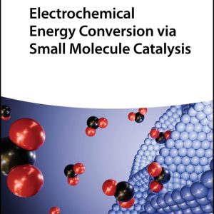 Electrochemical Energy Conversion via Small Molecule Catalysis 1st Edition