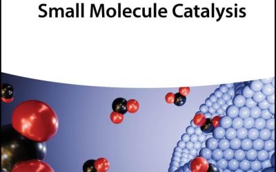 Electrochemical Energy Conversion via Small Molecule Catalysis 1st Edition