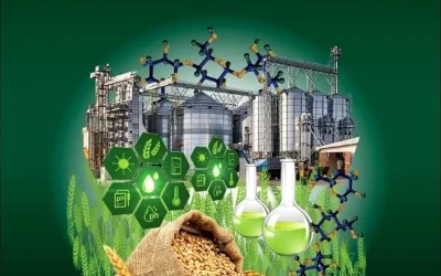 Innovative Biorefinery Processes for Agri-Food Value Chains