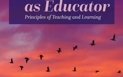 Health Professional as Educator: Principles of Teaching and Learning: 2nd Edition