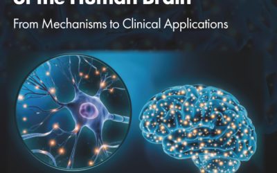 Functional Connectivity of the Human Brain: From Mechanisms to Clinical Applications 1st Edition