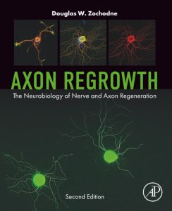 Axon Regrowth: The Neurobiology of Nerve and Axon Regeneration 1st Edition