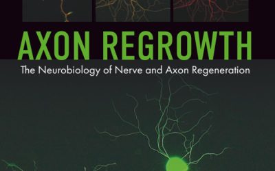 Axon Regrowth: The Neurobiology of Nerve and Axon Regeneration 1st Edition