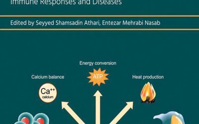 Mitochondrial Signaling and Regulation: Immune Responses and Diseases (Translational and Applied Bioenergetics) 1st Edition