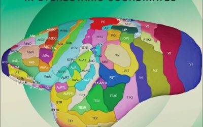 The Marmoset Brain in Stereotaxic Coordinates 2nd Edition