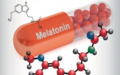 Handbook of Melatonin-Based Therapy and its Applications 1st Edition