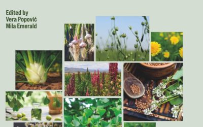 Therapeutic Potential of Medicinal Plants: The Science Behind Natural Remedies