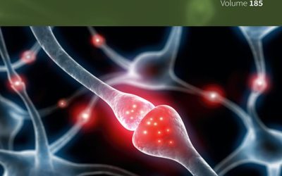 Hypnosis: Part B: Part B (Volume 185) (International Review of Neurobiology, Volume 185) 1st Edition