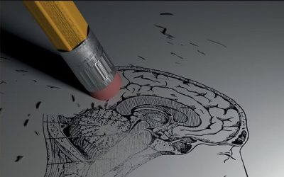 Neurobiology of Aging: Exploring Cognitive Decline and Neurodegeneration