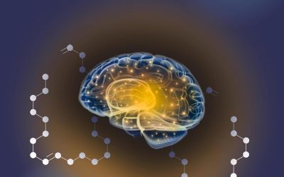 Nervonic Acid and Brain Health 1st Edition