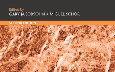 Comparative Constitutional Theory: Second Edition (Research Handbooks in Comparative Constitutional Law series) 2nd Edition