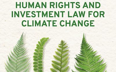 Human Rights and Investment Law for Climate Change