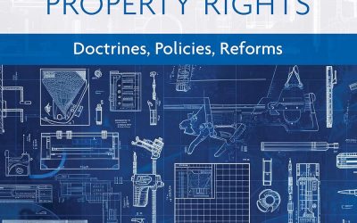 Exhaustion of Intellectual Property Rights: Doctrines, Policies, Reforms (Principles of Intellectual Property Law series)