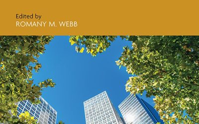 Research Handbook on Climate Change and Infrastructure Law (Research Handbooks in Climate Law series)