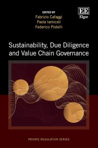 Sustainability, Due Diligence and Value Chain Governance (Private Regulation series)