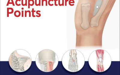 The Pocket Atlas of Acupuncture Points: A Concise Reference for Professionals and Students
