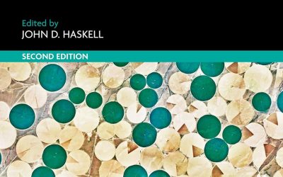Research Handbook on Law and Political Economy: Second Edition (Research Handbooks on Globalisation and the Law series)
