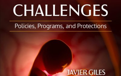 Navigating Pregnancy Challenges: Policies, Programs, and Protections – E