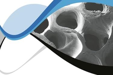 Clinical Osseointegration and Bone Regeneration