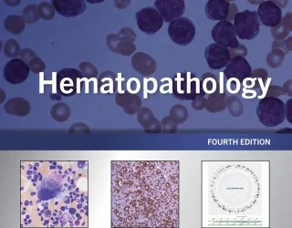 Hematopathology A Volume in the Series: Foundations in Diagnostic Pathology  4th Edition